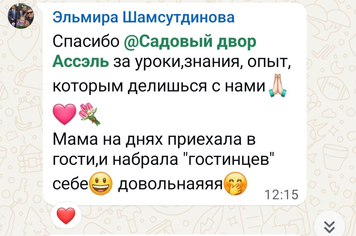 Отзыв ученицы