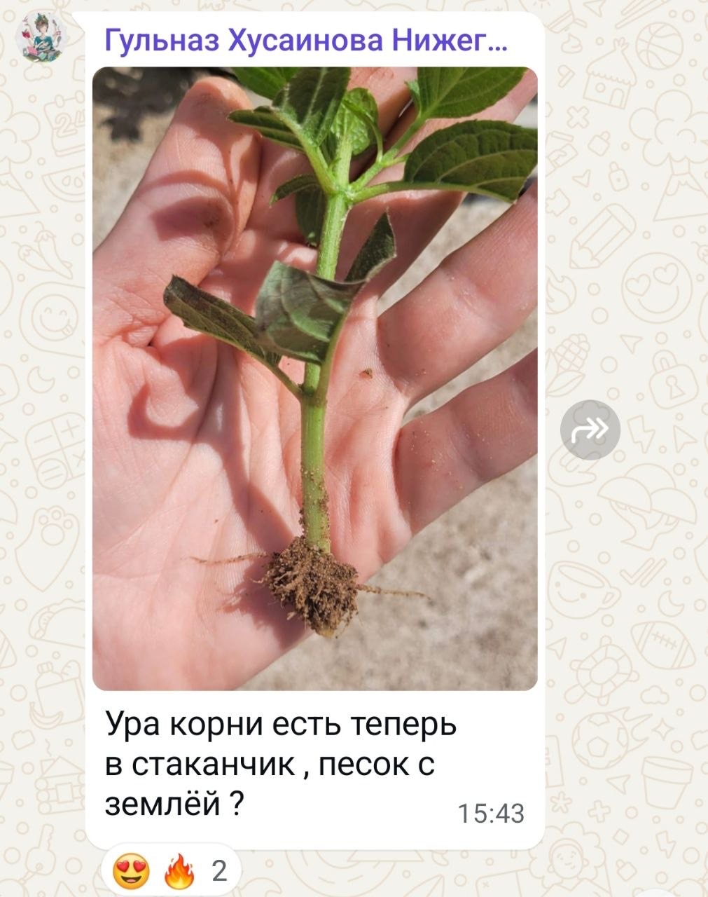 Результат ученицы